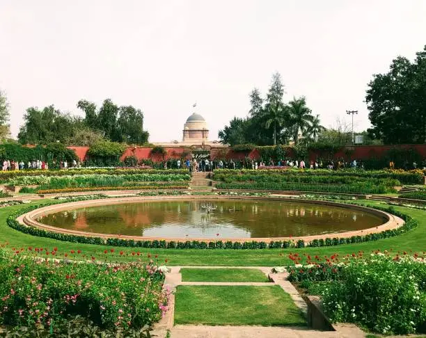 मुगल गार्डन अब अमृत उद्यान: दिल्ली का एक खूबसूरत तोहफा